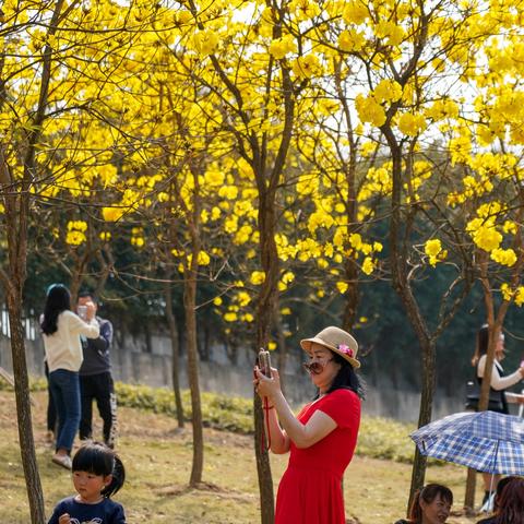 南宁市江南公园在哪个站