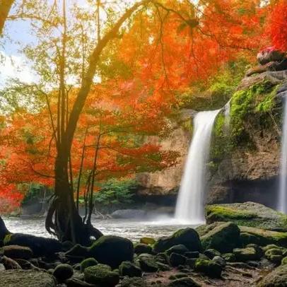 清泉足球运动员名单的长尾关键词有哪些