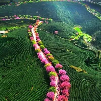 福建在深圳哪个方向