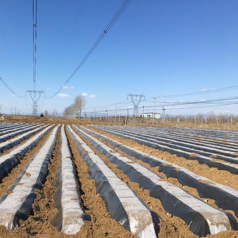 河北保定市疫情实时情况的长尾关键词有什么