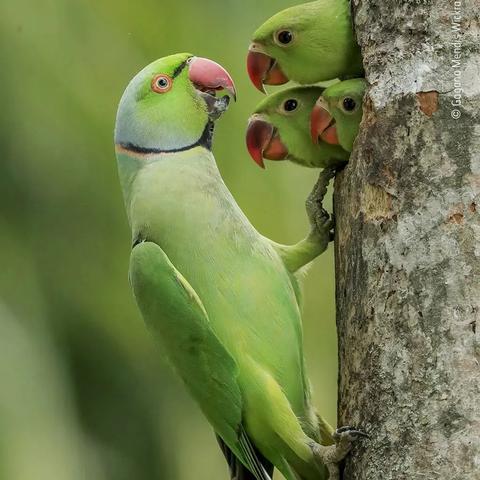 封锁 电影的长尾关键词有哪些