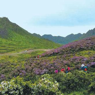 兰州市的老景点在哪里