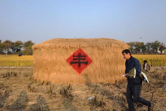 好货+品牌=赚钱！发展品牌农业，不妨学学这个地方的经验