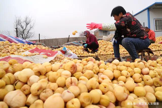 山西农民做什么美食（山西小吃顺口溜）