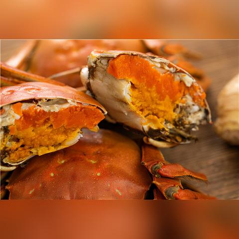 合肥好吃的大闸蟹相关长尾关键词有哪些