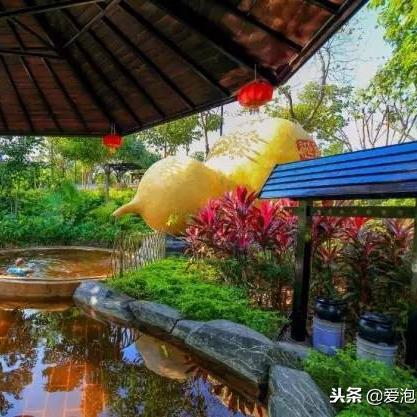 福建水疗哪个好