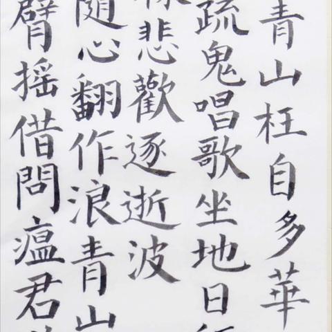 石家庄市疫情区的长尾关键词有什么