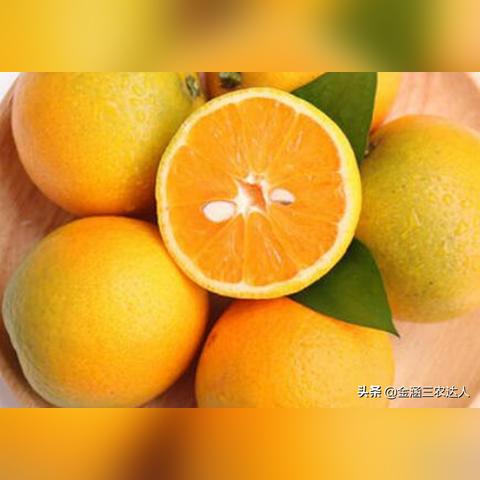 福建暖和不的相关长尾关键词有哪些