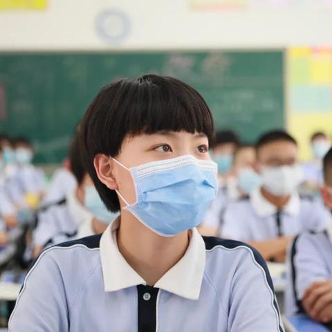 邯郸市哪里卖石榴树枝的