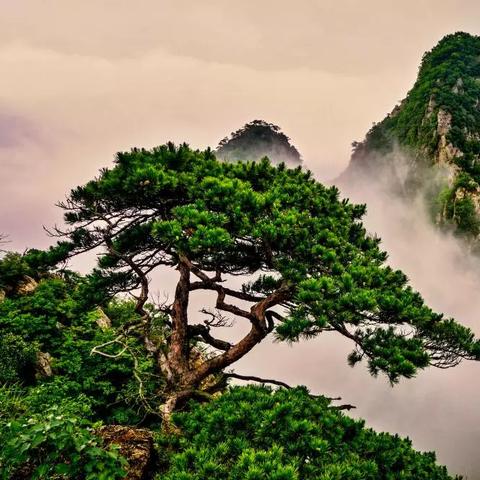 大连市哪个地方有土地庙