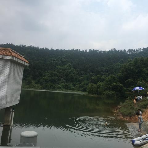 武汉哪里算是市区？