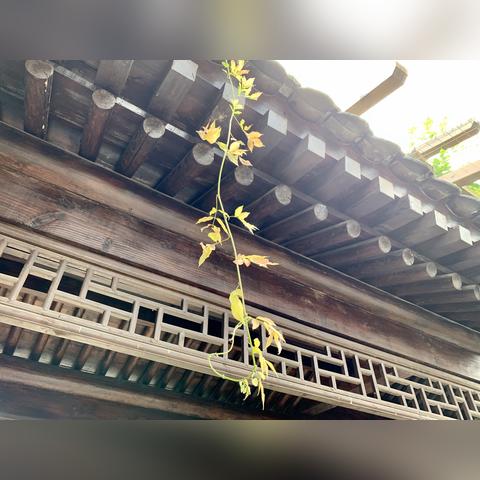 西安古观音禅寺相关长尾关键词有哪些