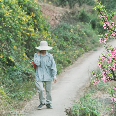 成都市区怎么去龙泉山