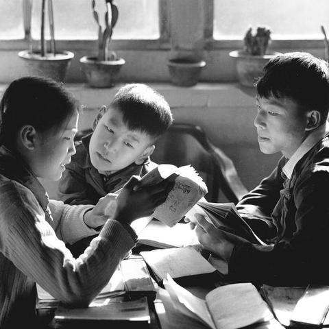 天津哪个学校最大