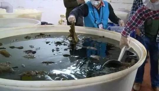 火锅店员工爆料：这六种荤菜，我们老板自己都不吃