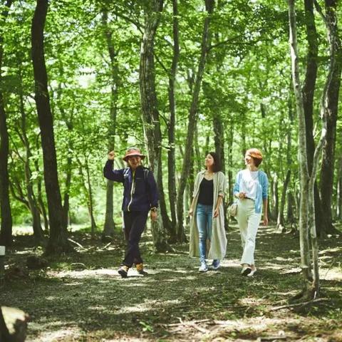 北海道气温差异原因的长尾关键词有什么