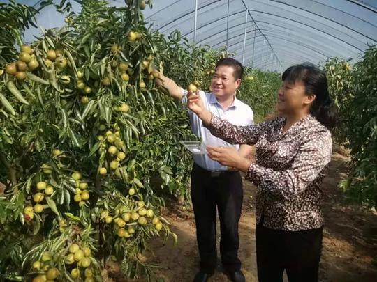 为农而生润农成长——江苏农担淮安分公司成立三周年工作纪实