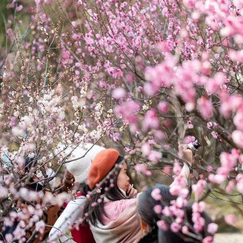 无锡市官林鲜花店在哪里