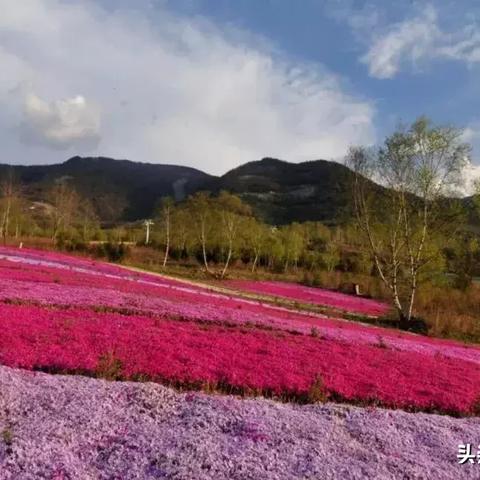 九月份西安开什么会？