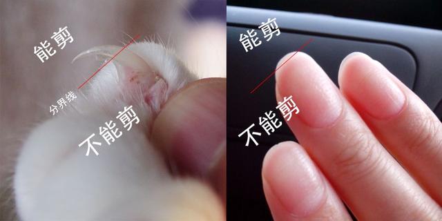 给宝宝剪指甲的正确方法是什么