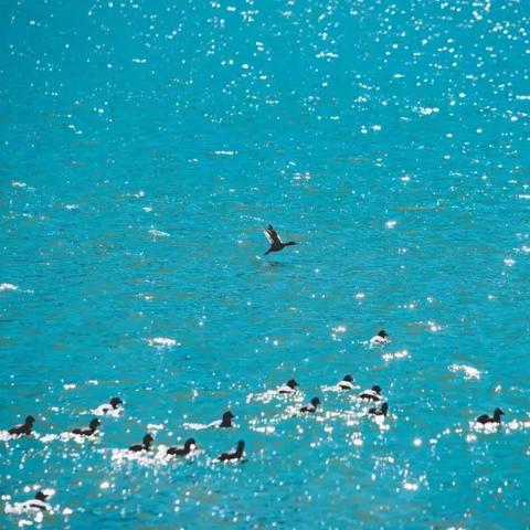 武汉市哪个区地势最低