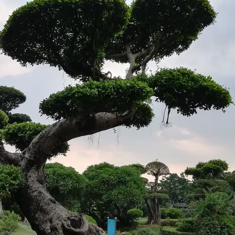 南宁市公园哪个好玩的