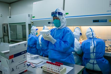 【北京累计采样229.7万人
 /北京累计采样229.7万人是真的吗】