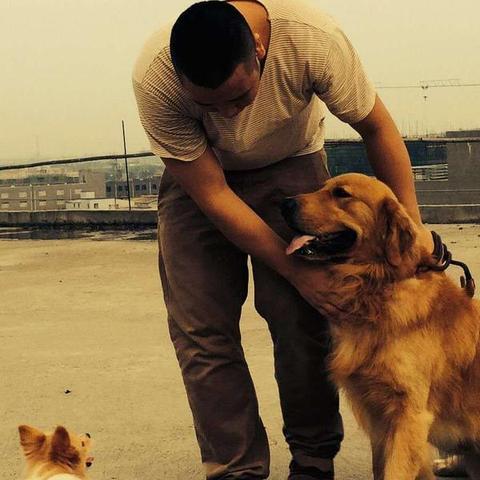 成都市刑拘律师有哪些人