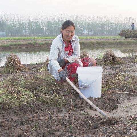河南扶沟天气的长尾关键词有哪些