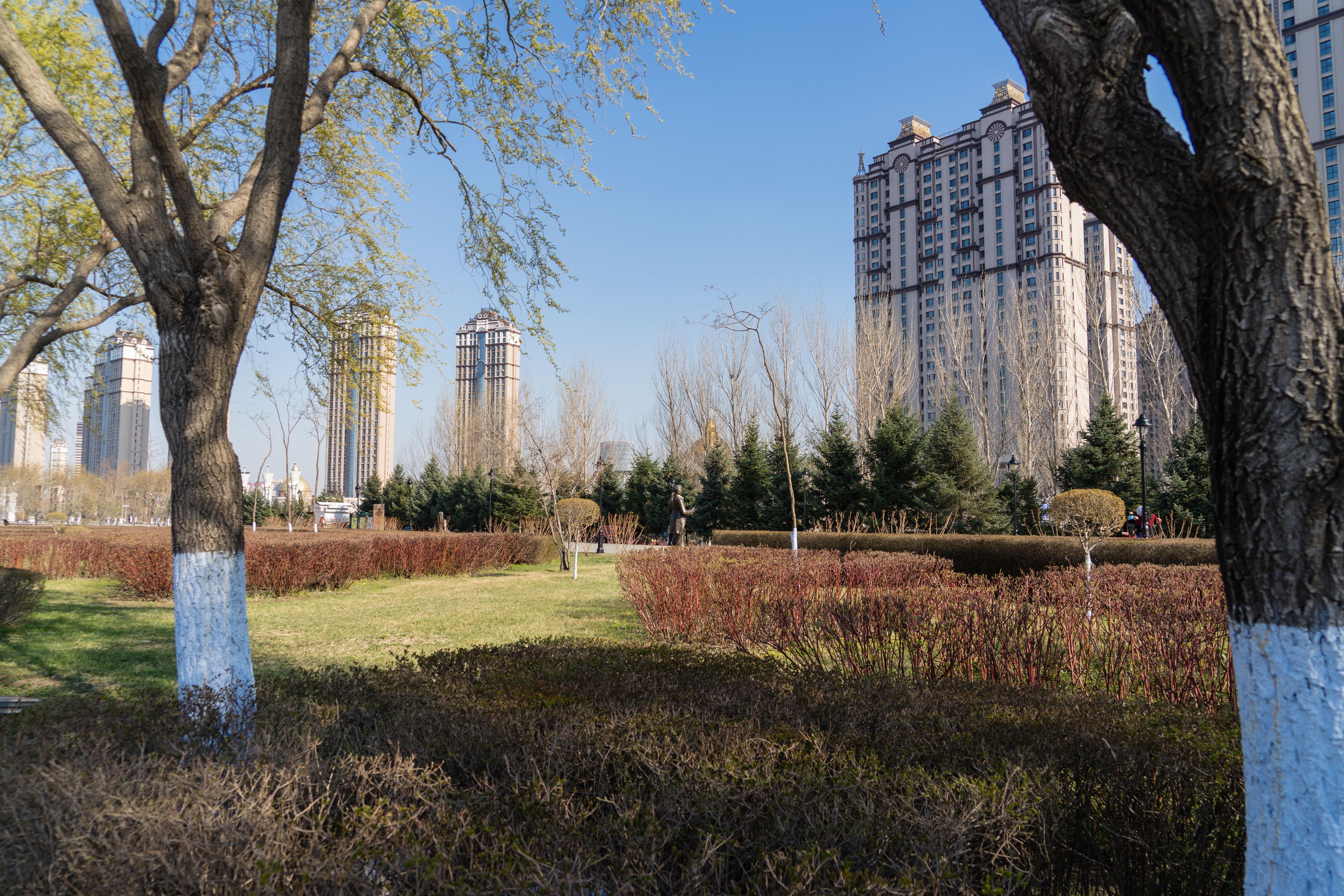 最新哈尔滨疫情
 /最新哈尔滨疫情爆发