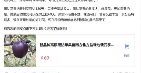 苗木骗子入驻头条，夸张虚假暴力营销，揭露稀有果树品种骗局