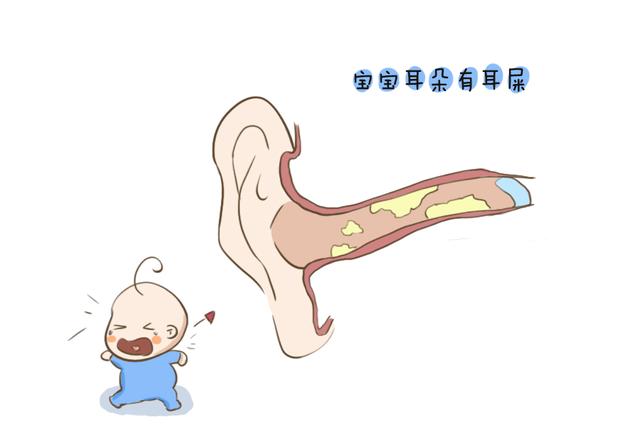 新生儿哪些部位不能碰