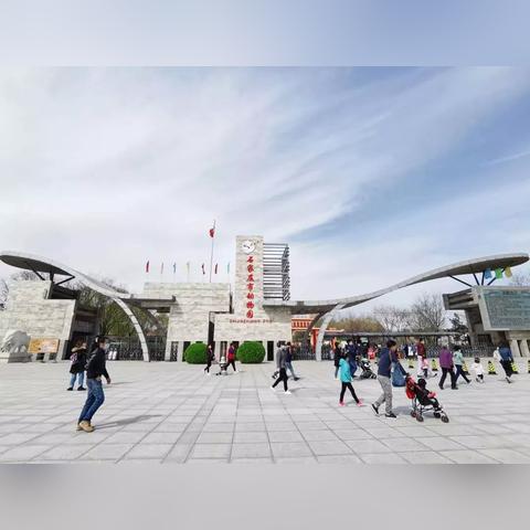石家庄市嗯城明天限行的长尾关键词有哪些