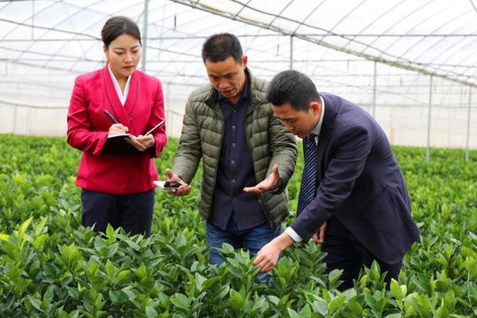 江西辖内农商银行：打好脱贫组合拳，为脱贫攻坚注入金融力量