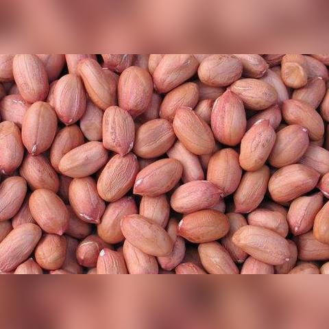 长沙至南宁汽车的相关长尾关键词有哪些