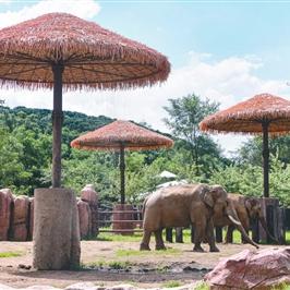 沈阳水果收购相关长尾关键词有哪些