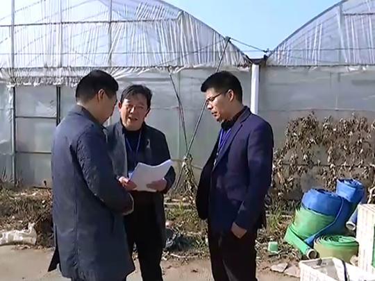 区农业农村局开展废旧农膜回收利用宣传工作