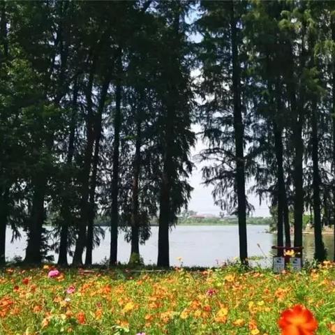 武汉市武东怎么样