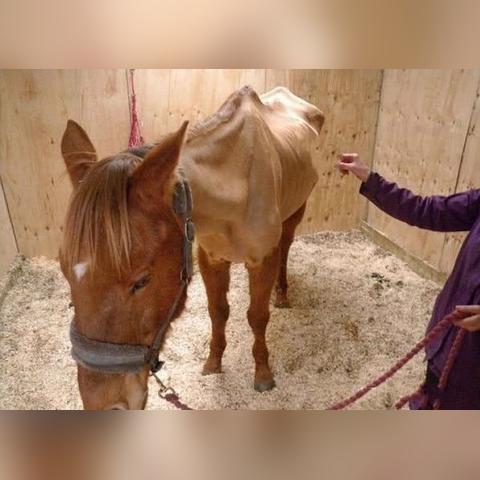 无锡市大骨头店地址在哪里