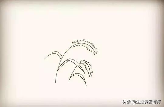 手帐必备素材：9步骤画狗尾巴草，小草简笔画教程，记得收藏哦