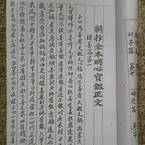 佛山市哪里摆摊卖菜最好