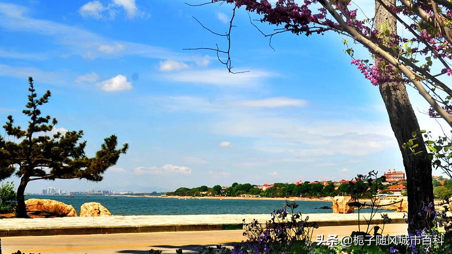 【31省新增本土确诊135例
 ,31省新增本土确诊135例:河北90例】