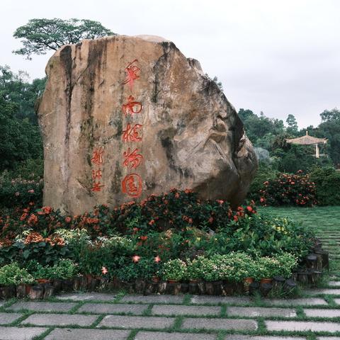 济南市植物园划船多少钱