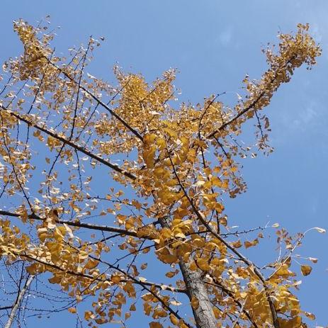 明天咸阳天气如何的长尾关键词有什么