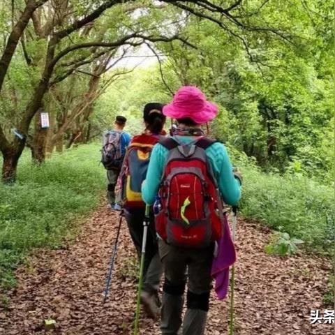 无锡市龙王山在哪里啊