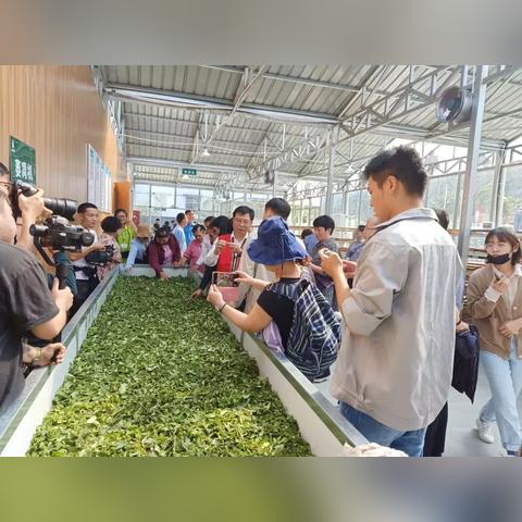 河南方言精喜什么意思？