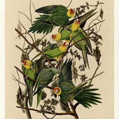 中国武汉种谷的长尾关键词有什么