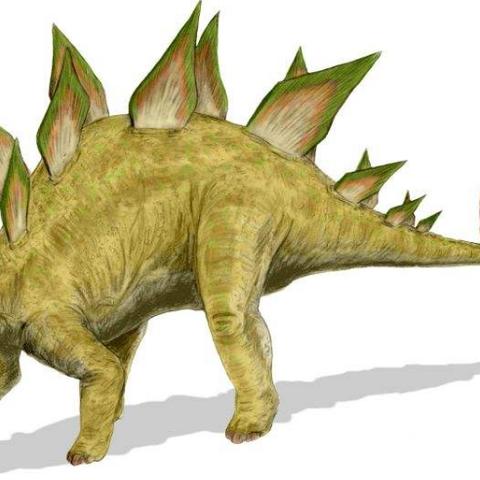 车站旁边做什么生意好的长尾关键词是什么