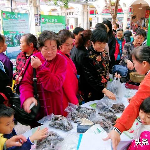 嘉和城到南宁市青秀万达广场奇幻海底世界公交路线？