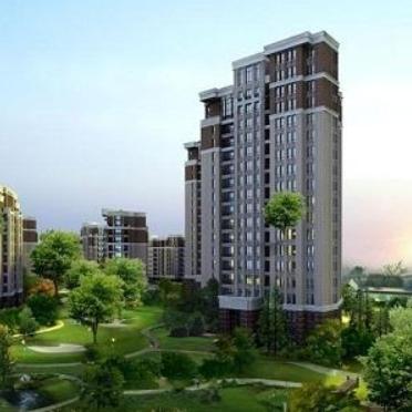 重庆外贸怎么样